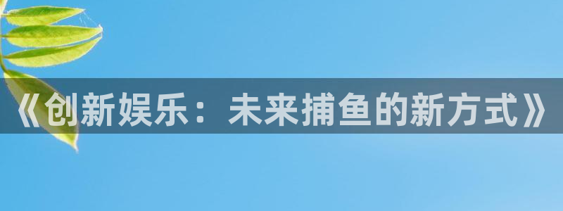 新城平台登录