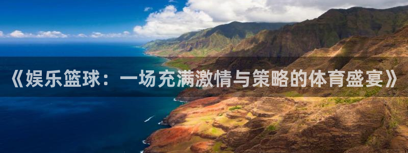 新城平台登录