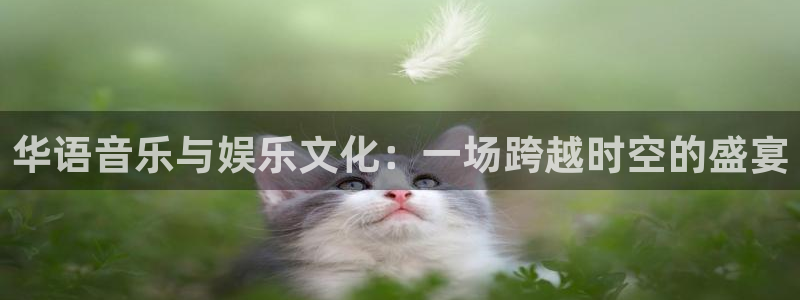 新城平台官网