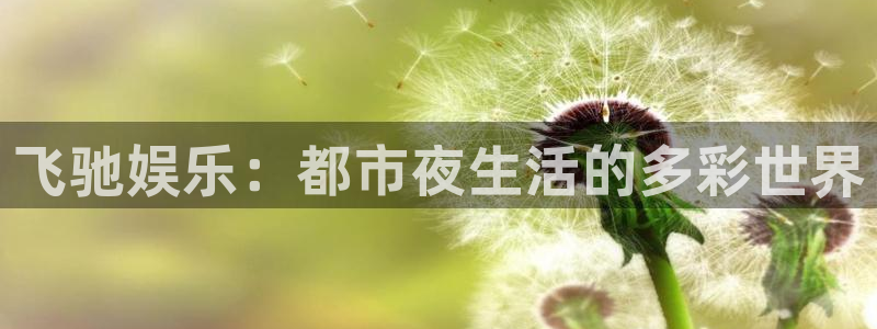 新城平台