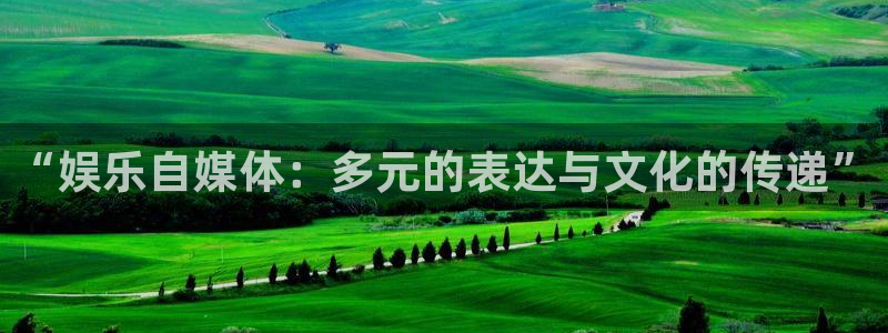 新城平台