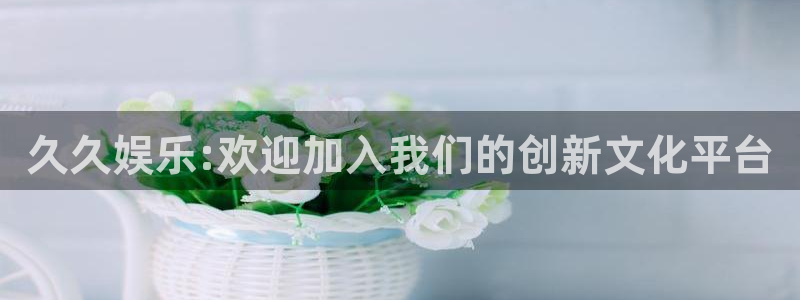 新城平台登录
