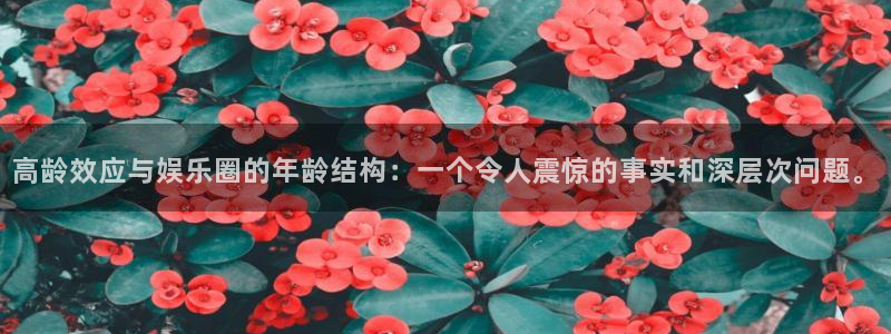 新城平台官网